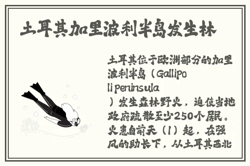 美男被强行糟蹋NP各种PLAY